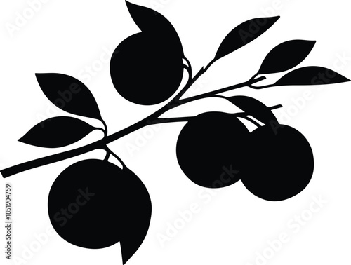 Silhouette branch with oranges and leaves Vector Illustration