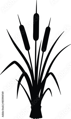 Silhouette cattails plant with green leaves vector illustration