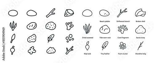 Collection of beach natural elements and symbols