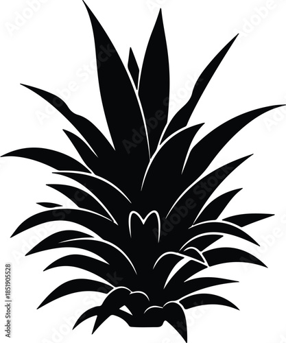 Silhouette of pineapple leaves vector illustration