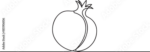 Continuous linear drawing of pomegranate. One line drawing garnet. Pomegranate in one line style. Vector illustration. one line Icon drawing