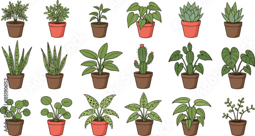 Large set of various green indoor houseplants in ceramic pots including cactus and succulents isolated on white background for home decor