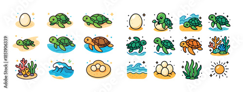 Cute cartoon turtle lifecycle: eggs, hatchlings, and ocean adven