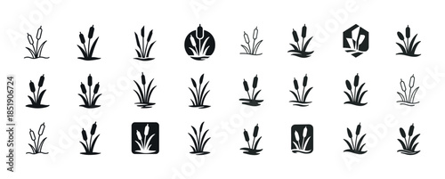 Set of cattail silhouettes in various designs for nature themes