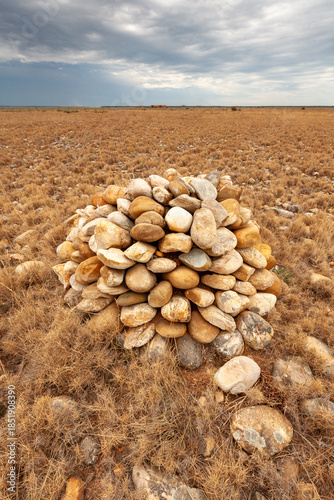 Crau steppe (Coussouls de la Crau), the Crau nature reserve, Provence, France.