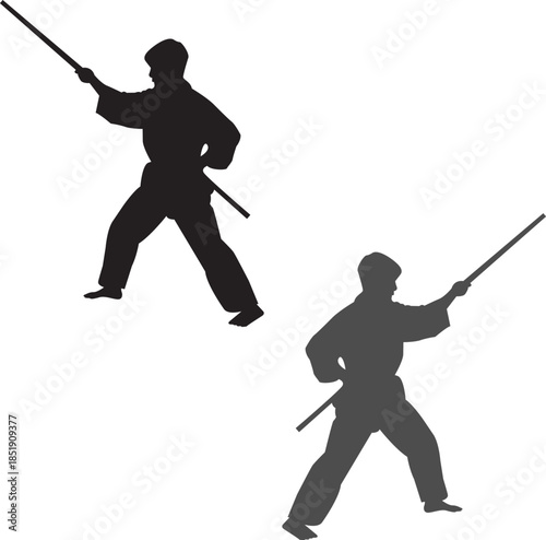 Shaolin Martial Art Two men practicing karate fight silhouette, Two karate men fighters in a match