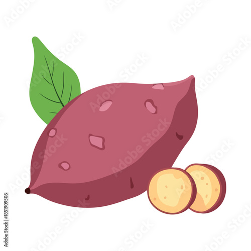 Fresh Sweet Potato Root Vegetable Cartoon Style Vector Illustration