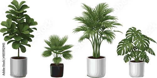 Indoor tropical houseplant collection featuring fiddle leaf fig, parlor palm, monstera deliciosa, and fan palm in modern ceramic pots for decor.