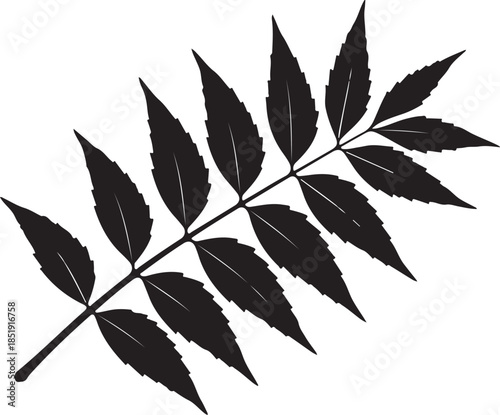 Error: API call failed