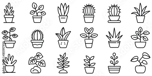 collection of potted house plants and cacti on white background simple icons