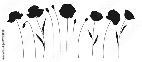 Set of poppy wildflower silhouettes on white background. Hand-drawn flowers, buds, and leaves. Wild plants and botanical elements for design projects. Vector illustration