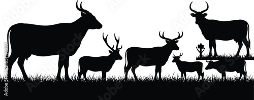 Silhouette of a herd of deer in a grassy field