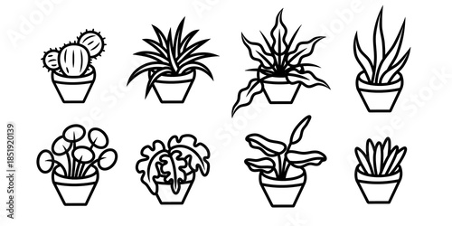 Potted house plant line icon set. Collection of indoor greenery icon. Minimalist outline style illustration for interior design. Transparent icon set.