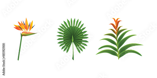 Exotic tropical leaf and pink flower botanical collection with jungle plants, vibrant summer elements, natural floral decoration for eco friendly design and invitations