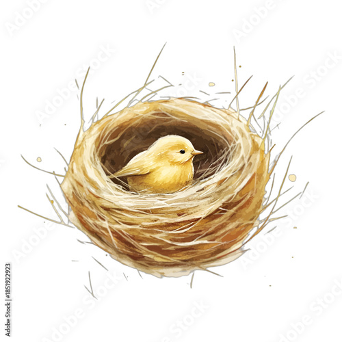 Cute Yellow Baby Chick Bird in Nest Vector Clipart Illustration

