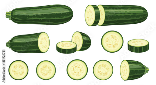 Comprehensive set of whole and perfectly sliced zucchini, illustrating various cuts and showing internal seeds for fresh produce.