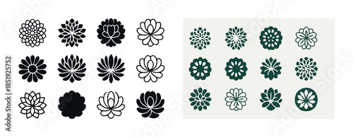 Assorted succulent outline and silhouette designs