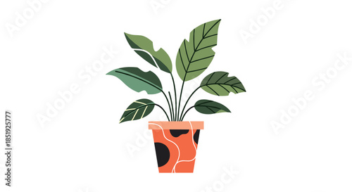 A beautiful potted houseplant with lush, large green leaves in an orange patterned pot, adding a touch of nature and freshness to any indoor space.