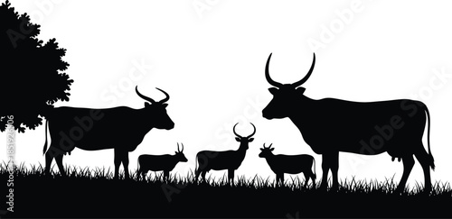 Silhouette of a family of eland antelopes in a grassy landscape