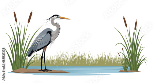 A graceful great blue heron standing elegantly in shallow water amidst tall green reeds, reflecting a peaceful wetland environment and its natural habitat.
