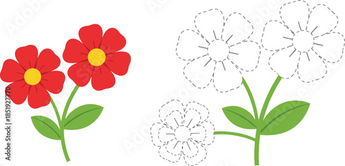 Flower tracing worksheet for kids featuring red floral illustration and dashed line drawing for preschool motor skills development and coloring activity