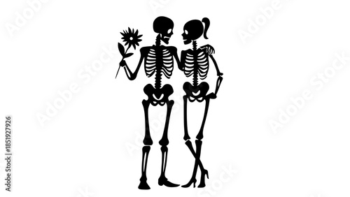 Loving skeleton couple embracing with flower on white background