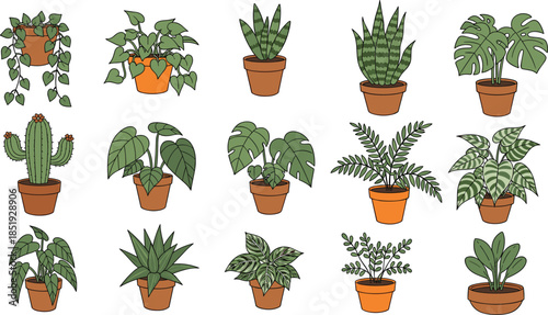 Indoor houseplant illustration collection featuring potted tropical plants, succulents, cactus, and leafy greenery illustrated in hand drawn flat vector style isolated on white background for home dec