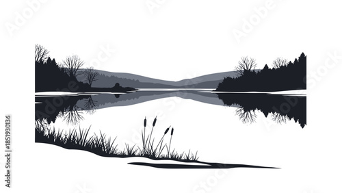 Black and White Illustration of Reeds.