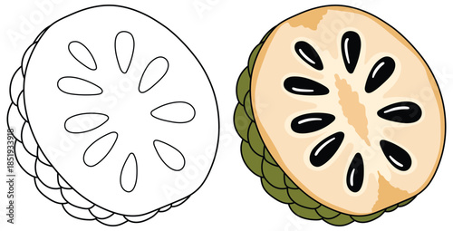 Custard apple slice illustrated with smooth seeds soft creamy flesh and layered green rind in a polished modern cartoon vector style ideal for food themed creative projects