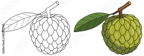 Custard apple illustrated with layered scales a single leaf and smooth highlights created in a clean modern cartoon vector style suitable for diverse creative applications