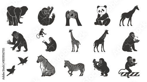 Collection of black silhouette animal and primate vector illustrations including elephant, giraffe, zebra, panda, monkeys, and photography concepts