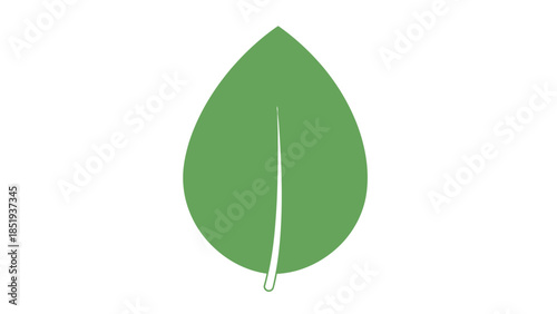 A stylized solid green ovate leaf with a visible central vein on a white background