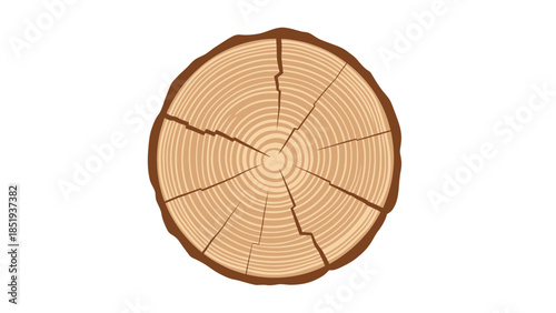 A vector illustration of a cracked tree trunk crosssection with distinct annual growth rings