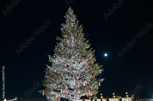 横浜赤レンガクリスマスマーケットのクリスマスツリー