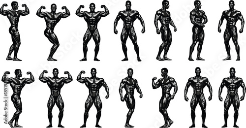 Bodybuilder muscle poses illustration showing male bodybuilding anatomy in different stances isolated on white background, fitness, strength, physique training art