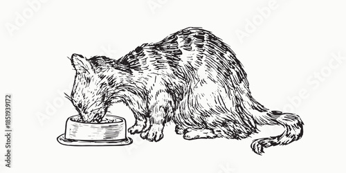 Cat eating from a bowl side view, doodle black ink drawing, woodcut vector