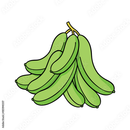 vector illustration of green peas