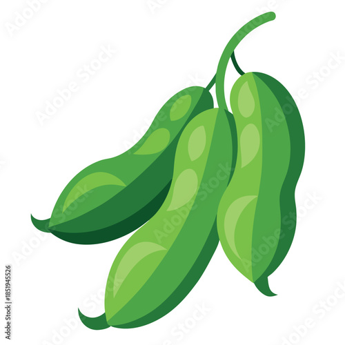 vector illustration of green peas