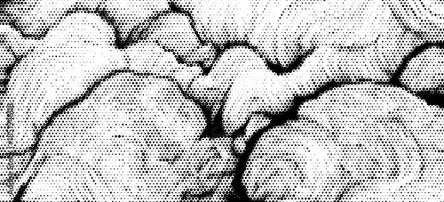 Pixelated bitmap gradient texture. Black and white dither pattern background. Abstract glitchy pattern. 8 bit video game screen wallpaper. Wide raster backdrop. Retro pixel art Illustration