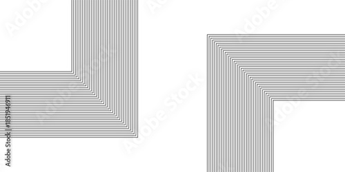 Beautiful white feather pattern texture. white striped diagonal line technology concept. gradient gray line abstract pattern Transparent monochrome striped texture, minimal background.
