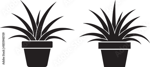 Two black potted plant icons with different leaf spreads isolated on white background