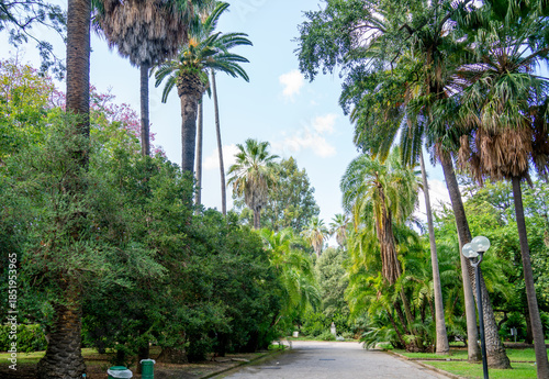 View in a park in Naples, Italy

