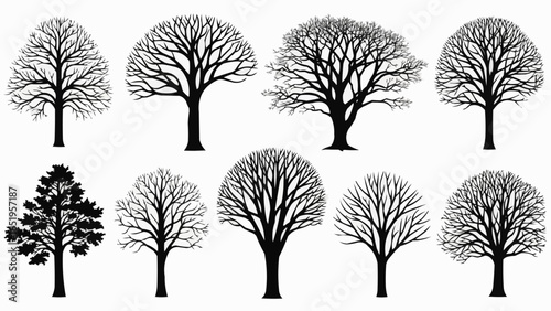 set of trees