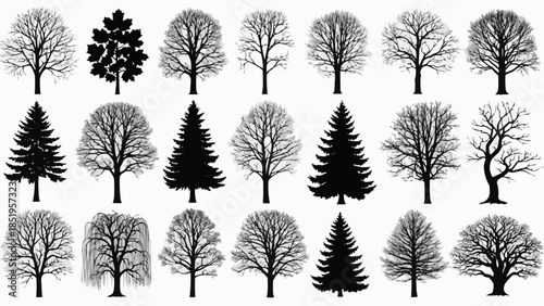 set of trees