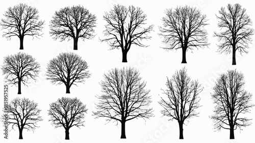 set of trees