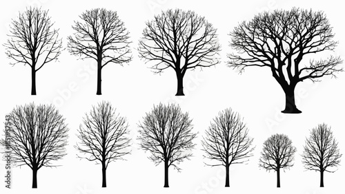 set of trees