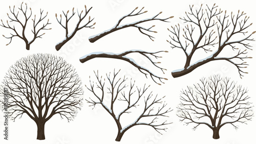 tree silhouette vector