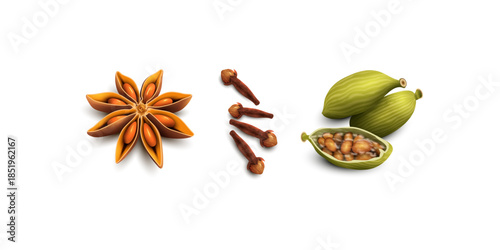 Realistic 3D vector illustration of assorted herbs and spices arranged culinary seasoning aromatic cooking ingredients botanical gourmet kitchen design