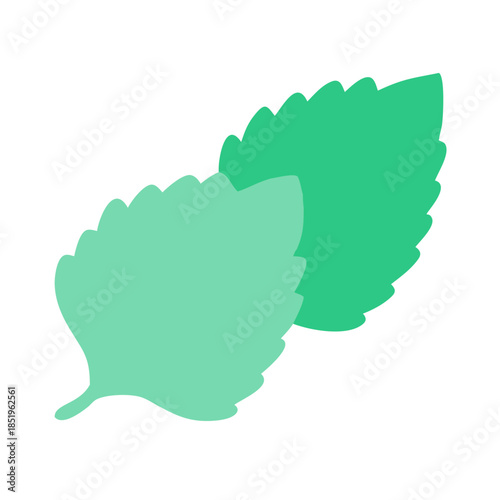 Two stylized mint leaves on a white background