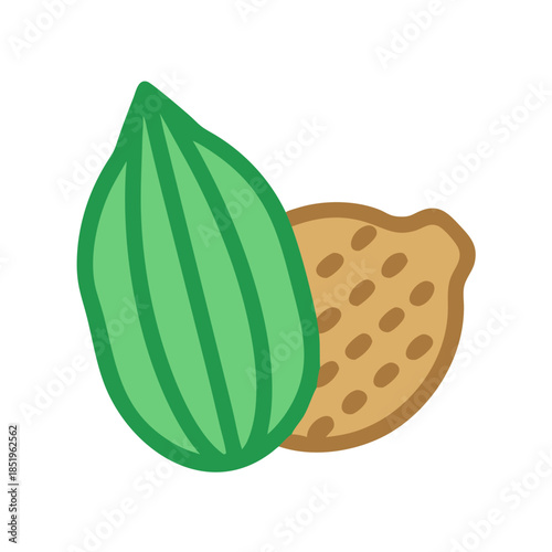 Graphic almond illustration featuring kernel and shell, minimalist style